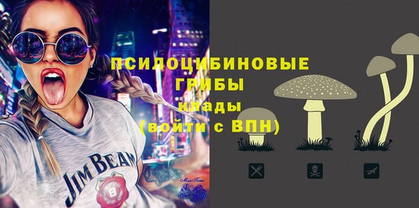 дживик Абинск